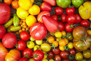 Pomidorų mix | 1 kg