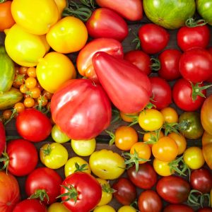 Pomidorų mix | 1 kg